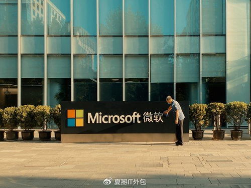 專業(yè)IT外包公司在微軟365部署與運維中的優(yōu)勢