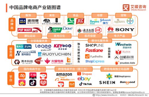 2023年中國品牌電商服務商行業研究報告 信息技術咨詢服務